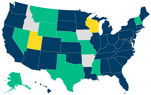 Medicaid postpartum coverage state action